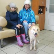 Элис