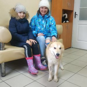 Элис