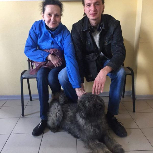 Айка