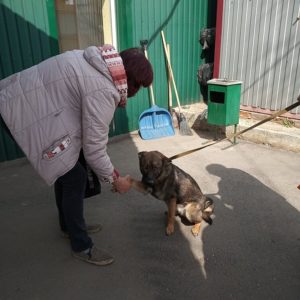 Дик2