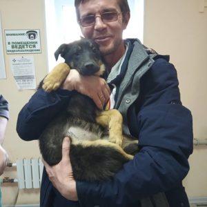Кола