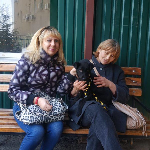 Локи