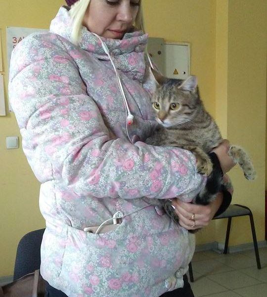 разбойница