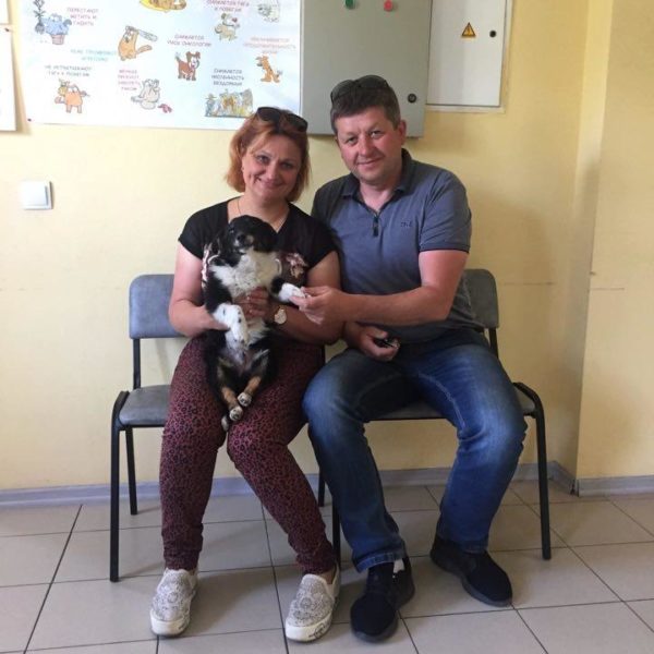 Емеля