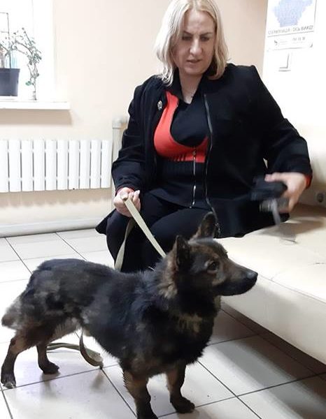 Лайк
