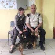 Лютик