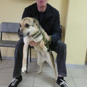 Холли2