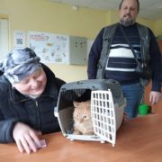 Ярик
