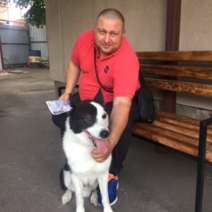 Арлекино