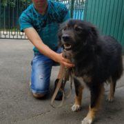Стрелка
