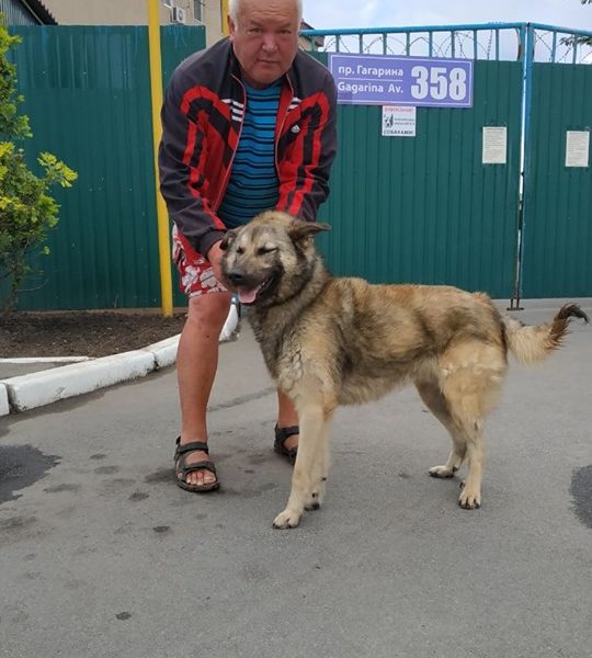 Алик