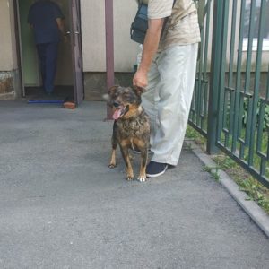 Кекс