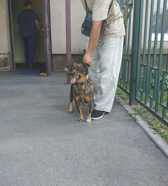 Кекс