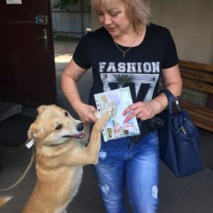 Рыжий