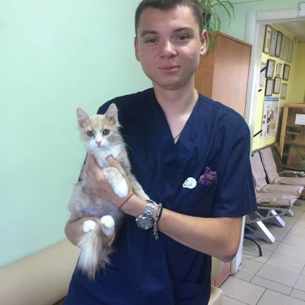 Чип2