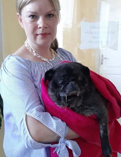 Бусинка мопс