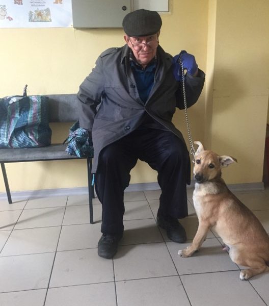 Вовчик