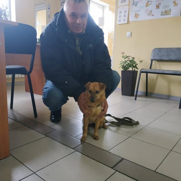 Лила