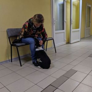 Даша