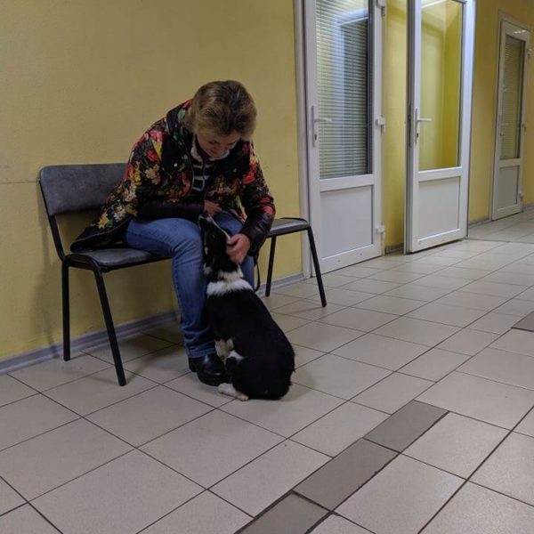 Даша