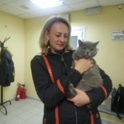 Пуш