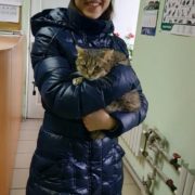 Ариша