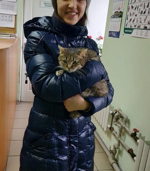 Ариша