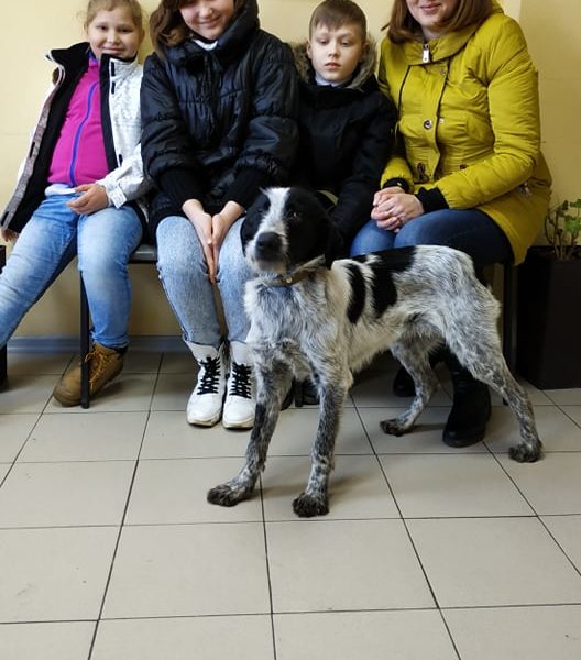 Вольф