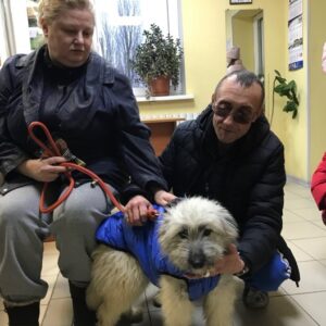 Зефирка