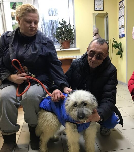 Зефирка