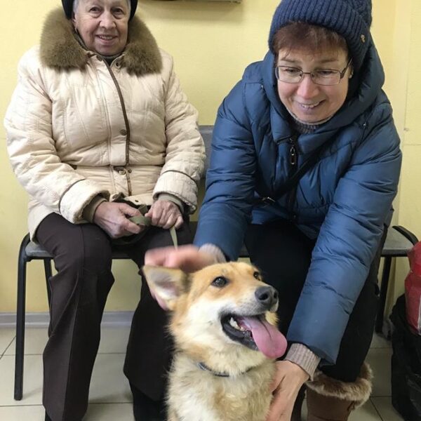 Лина
