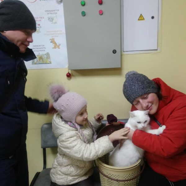 Снежана