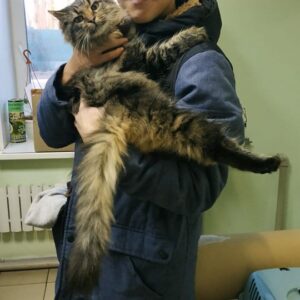 Юджин