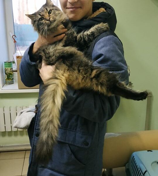 Юджин