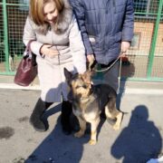 Алексис