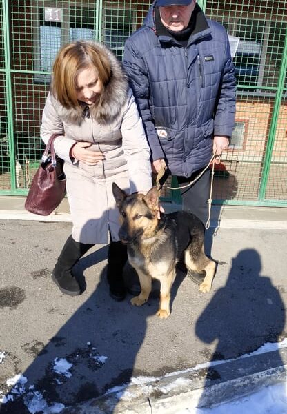 Алексис