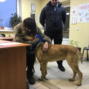 Биг Босс