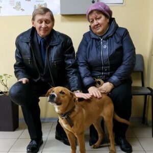 Бинго