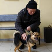 Молли
