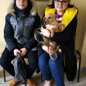 Чинта
