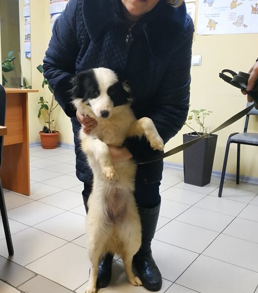 Грейси2