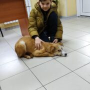 Лайда