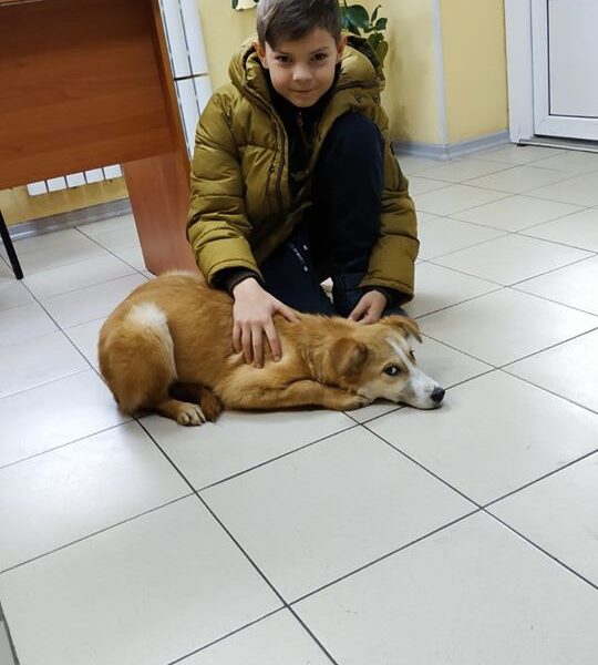 Лайда