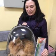 Лучик