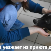 Милка2