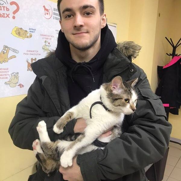 Стич