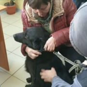 Бутч