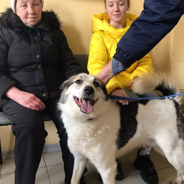 Клайд