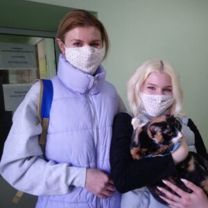 Кнопка