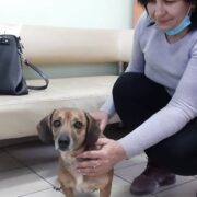 Марси